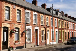 houses on a street